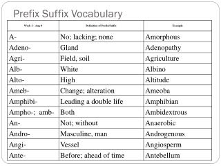 Prefix Suffix Vocabulary