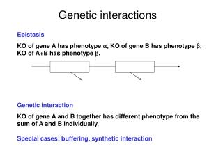 Genetic interactions