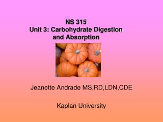 NS 315 Unit 3: Carbohydrate Digestion and Absorption