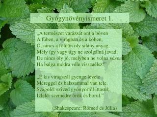 Gyógynövényismeret 1.