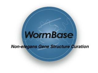 Non-elegans Gene Structure Curation