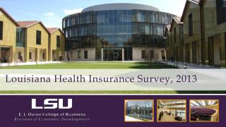 Louisiana Health Insurance Survey, 2013