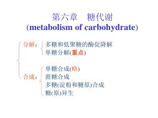 第六章 糖代谢 ( metabolism of carbohydrate )