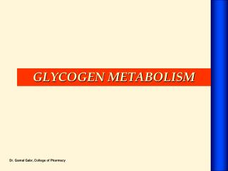 Glycogen Metabolism