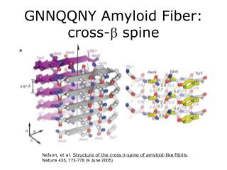 GNNQQNY Amyloid Fiber: cross-  spine