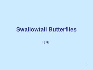 Swallowtail Butterflies