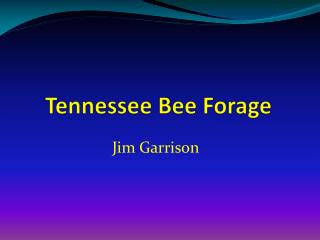 Tennessee Bee Forage
