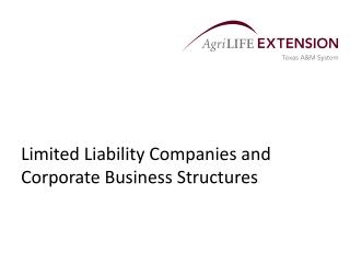 Limited Liability Companies and Corporate Business Structures