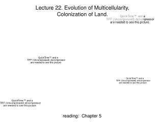 Lecture 22. Evolution of Multicellularity, Colonization of Land.