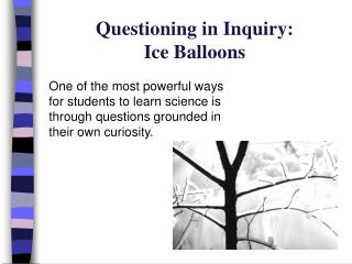 Questioning in Inquiry: Ice Balloons