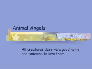 Animal Angels