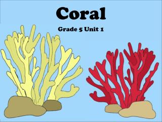 Coral