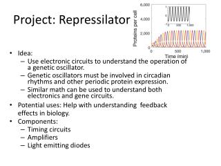 Project: Repressilator