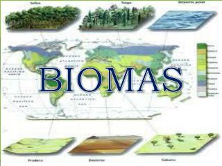 BIOMAS