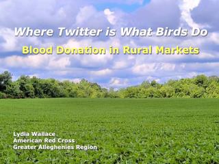 Where Twitter is What Birds Do Blood Donation in Rural Markets