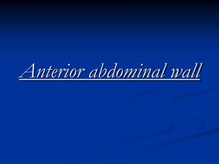 Anterior abdominal wall