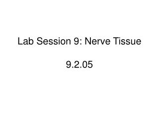 Lab Session 9: Nerve Tissue 9.2.05