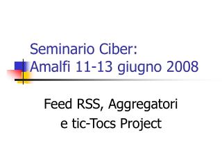 Seminario Ciber: Amalfi 11-13 giugno 2008