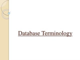 Database Terminology