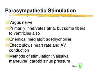 Parasympathetic Stimulation