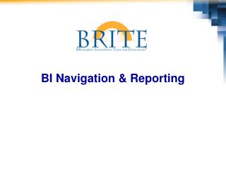 BI Navigation &amp; Reporting