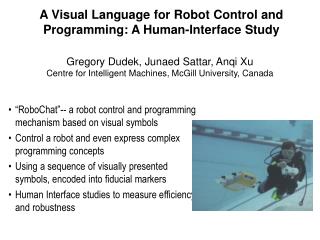 A Visual Language for Robot Control and Programming: A Human-Interface Study