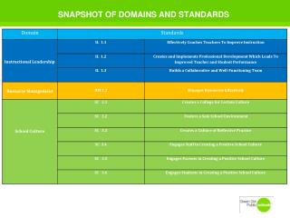 SNAPSHOT OF DOMAINS AND STANDARDS