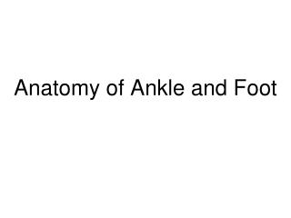 Anatomy of Ankle and Foot