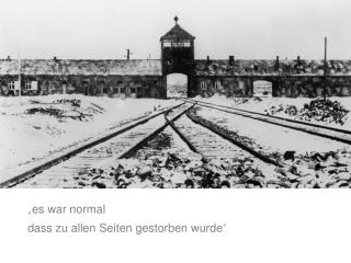 „ es war normal dass zu allen Seiten gestorben wurde “