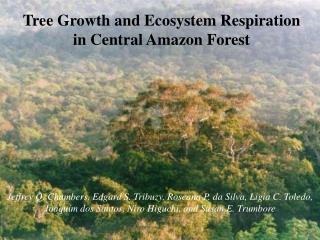 Tree Growth and Ecosystem Respiration in Central Amazon Forest
