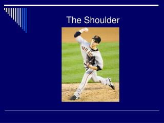 The Shoulder