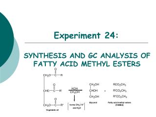 Experiment 24: