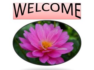 WELCOME