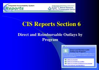CIS Reports Section 6