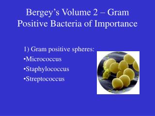 Bergey’s Volume 2 – Gram Positive Bacteria of Importance