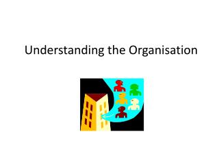 Understanding the Organisation