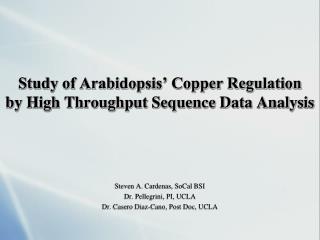Study of Arabidopsis’ Copper Regulation by High Throughput Sequence Data Analysis