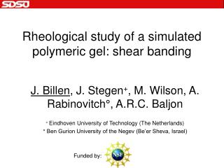 Rheological study of a simulated polymeric gel: shear banding