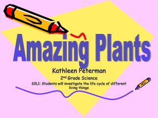 Kathleen Peterman 2 nd Grade Science