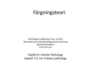 Färgningsteori