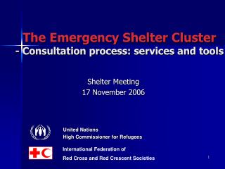The Emergency Shelter Cluster - Consultation process: services and tools