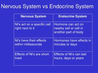 Nervous System vs Endocrine System