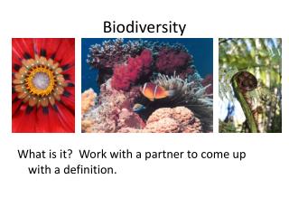 Biodiversity