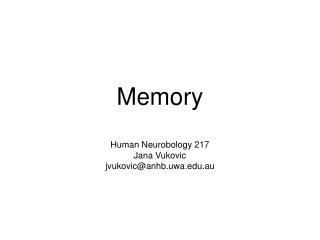 Memory Human Neurobology 217 Jana Vukovic jvukovic@anhb.uwa.au