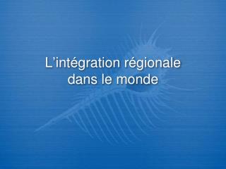 L ’ int é gration r é gionale dans le monde