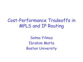 Cost-Performance Tradeoffs in MPLS and IP Routing