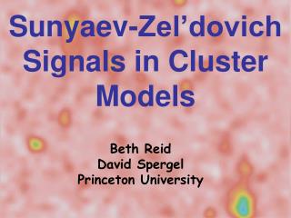 Sunyaev-Zel’dovich Signals in Cluster Models