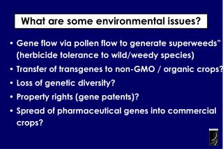 Gene flow via pollen flow to generate superweeds” (herbicide tolerance to wild/weedy species)