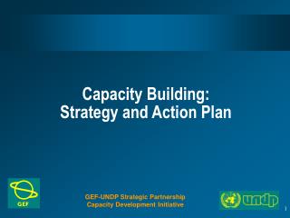 Capacity Building: Strategy and Action Plan