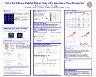 Role of the Bidomain Model of Cardiac Tissue in the Dynamics of Phase Singularities